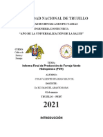 Informe de FVH