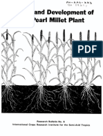 Growth Developt Pearl Millet