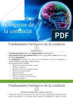 Fundamentos Biológicos de La Conducta