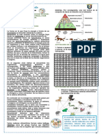 Guis Grado Segundo Matemáticas