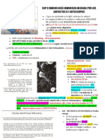 Inmunología Inmunidad Mediada Por Los Linfocitos B y Anticuerpos