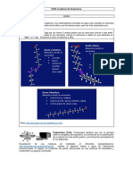 Actividades de La P.lípidos - García Montañez - EQ - 7