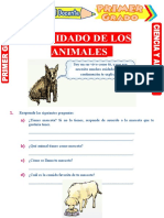 Cuidado de Los Animales para Primer Grado de Primaria