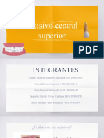 Anatomia Dental