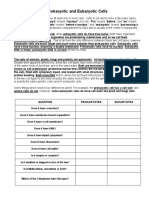 Prokaryotes and Eukaryotes Worksheet