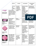 Cuadro Comparativo Tejidos Epiteliales