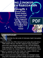 RUANG LINGKUP PRAKTEK KEBIDANAN - PPT KELOMPOK 2