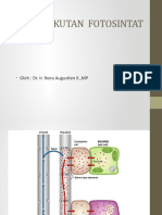 Pengangkutan Fotosintat