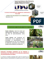 Exposicion Aprovechamiento Forestal