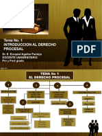 TEMA 1 INTRODUCCION AL DERECHO PROCESAL DR - Aguilar