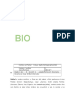 Trabajo de Biologia Sabila