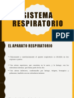 Sistema Respiratorio