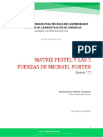 Matriz Pestel