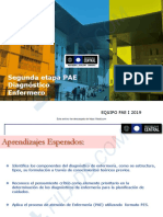 Diagnostico Pes Pae 2019