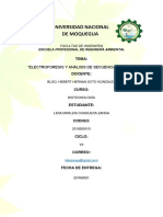 Electroforesis y Análisis de Secuencias de ADN