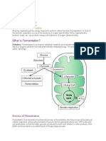 What Is Fermentation?: Table of Content