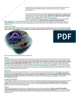 Animal Cell Definition