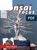 Bonsai Focus 28