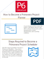 PRIMAVERA p6