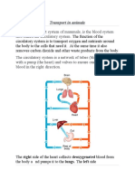 Circulatory System