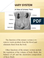 AnaPhy (Neonatalsepsis)