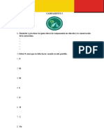 Campamento 1 - Preguntas