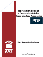 Representing Yourself in Court: A Brief Guide From A Judge 'S Perspective