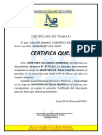 CERTIFICADO DE Perfor2