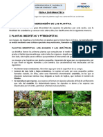 FernandezVargas-24 de Mayo Del 2021-FICHA CLASIFICACIÓN DE LAS PLANTAS.