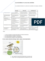 Taller de Flujo de Energia y Ciclo de La Materia