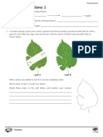 Exam-Style Questions 1: Leaf A Leaf B