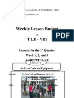 Weekly Lesson Budget: in T.L.E - Viii