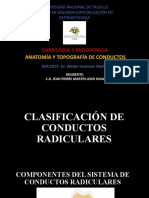 Clasificacion de Los Conductos