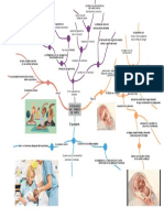 Mapa Mental