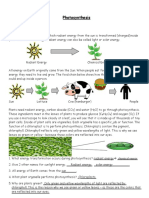 ORDONEZ ERALAINE G. Photosynthesis Reading and Questions PDF