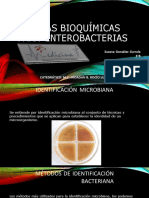 Pruebasbioqumicas 140410211118 Phpapp02