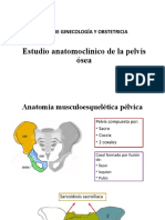 Estudio Anatomoclínico de La Pelvis