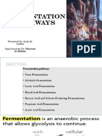 Fermentation Pathways