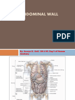 Abdominal Wall - Ho