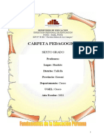 Carpeta - Pedagogica 2021