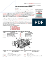 Cell Membrane & Tonicity Worksheet