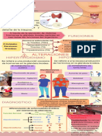 Infografía de Tiroides