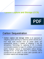 Carbon Capture and Storage (CCS)