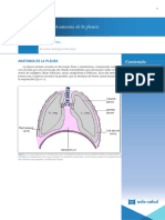 Anatomía de La Pleura