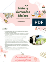 Leche y Derivados Lacteos