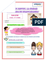 Plan Lector 3°y4° Sem 13