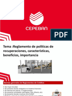 Sesion N8 Reglamento de Politicas de Recuperaciones Caracteristicas Beneficios Importancia