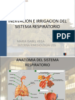 Inervacion e Irrigacion Del Sistema Respiratorio