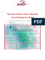 Ejercicios Prácticos Sobre Aplicación de Los Principios de Calidad