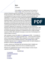 DNA Methylation